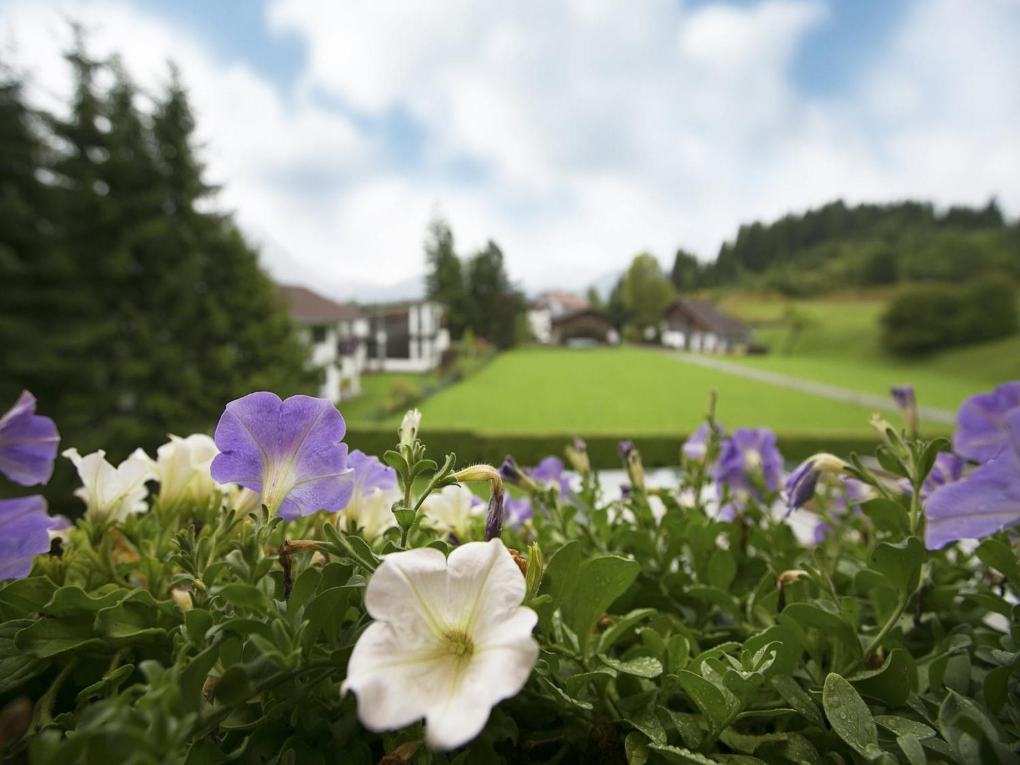 Apartment In W Ngle Tyrol With Walking Trails Near Reutte Ngoại thất bức ảnh